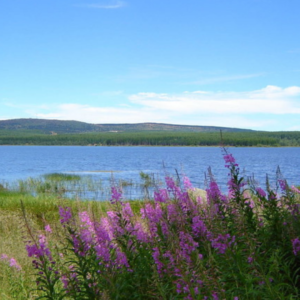 Le lac de charpal non loin du gîte lozere Javols